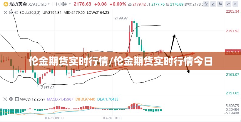 伦金期货实时行情/伦金期货实时行情今日 伦金期货实时行情/伦金期货实时行情今日