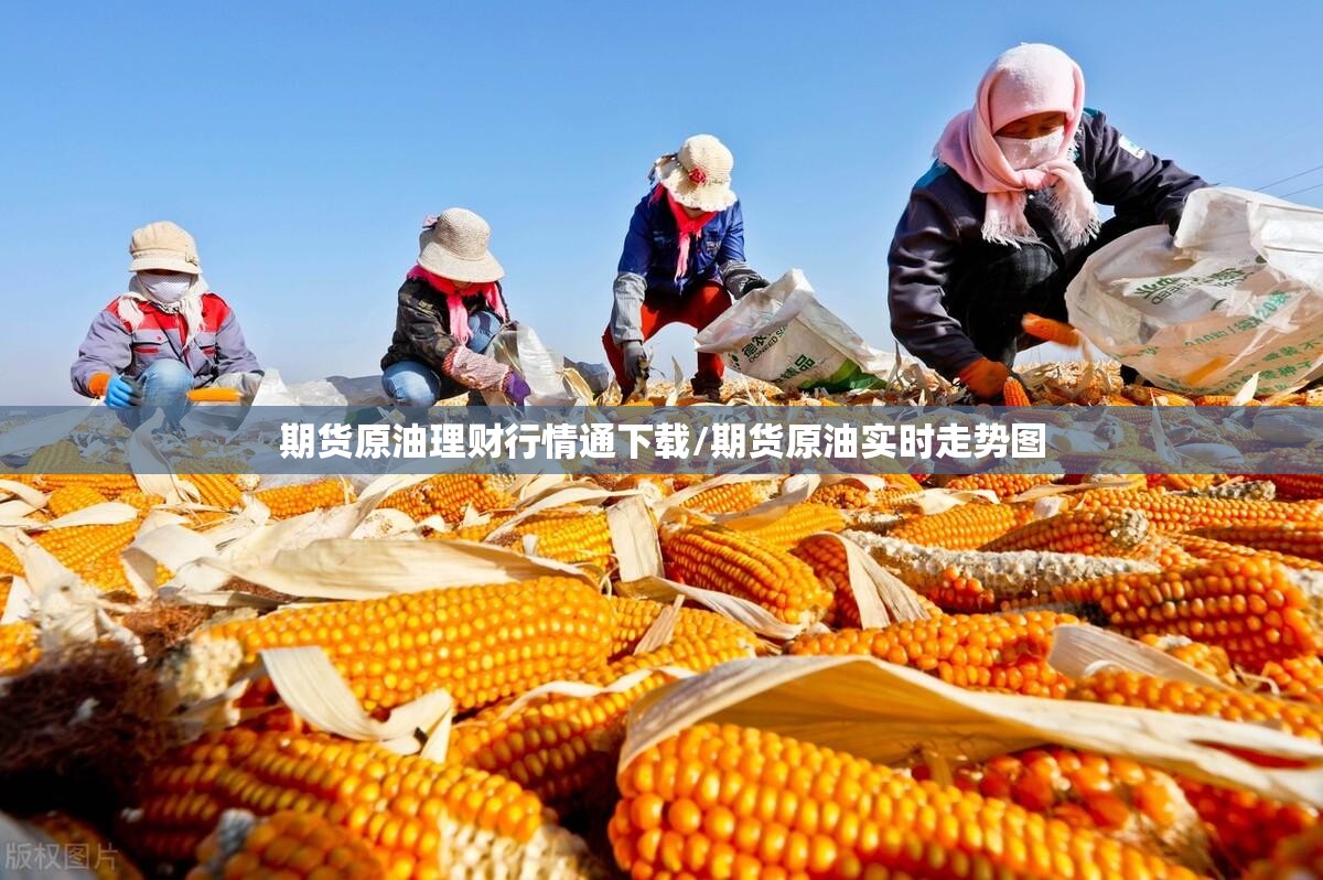 期货原油理财行情通下载/期货原油实时走势图 期货原油理财行情通下载/期货原油实时走势图