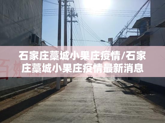 石家庄藁城小果庄疫情/石家庄藁城小果庄疫情最新消息 石家庄藁城小果庄疫情/石家庄藁城小果庄疫情最新消息