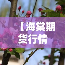 【海棠期货行情/海棠价格及图片欣赏】 【海棠期货行情/海棠价格及图片欣赏】