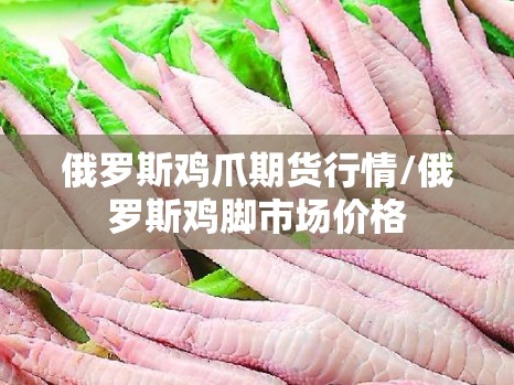 俄罗斯鸡爪期货行情/俄罗斯鸡脚市场价格 俄罗斯鸡爪期货行情/俄罗斯鸡脚市场价格