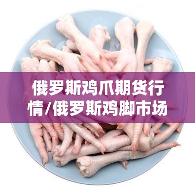 俄罗斯鸡爪期货行情/俄罗斯鸡脚市场价格 俄罗斯鸡爪期货行情/俄罗斯鸡脚市场价格