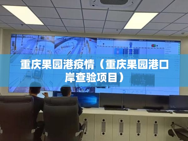 重庆果园港疫情（重庆果园港口岸查验项目）