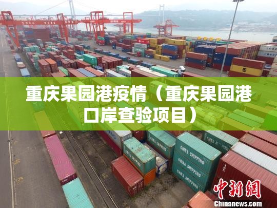 重庆果园港疫情（重庆果园港口岸查验项目）