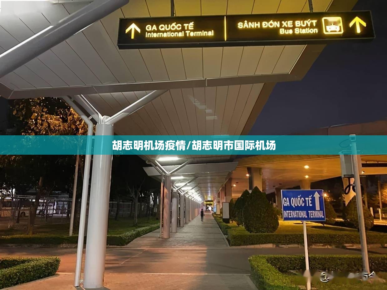 胡志明机场疫情/胡志明市国际机场 胡志明机场疫情/胡志明市国际机场