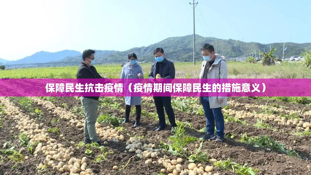 保障民生抗击疫情（疫情期间保障民生的措施意义）