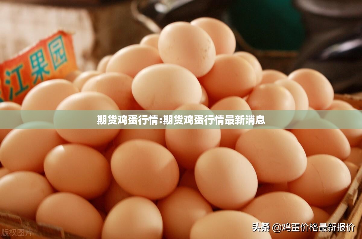期货鸡蛋行情:期货鸡蛋行情最新消息