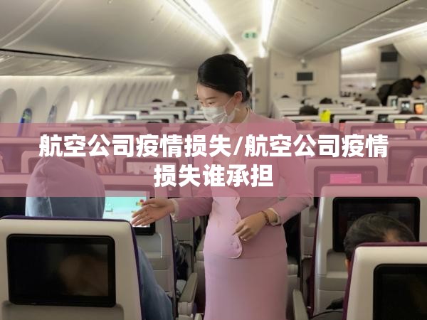 航空公司疫情损失/航空公司疫情损失谁承担