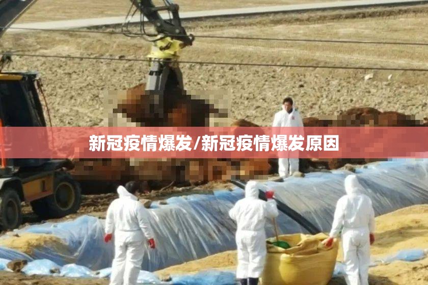 新冠疫情爆发/新冠疫情爆发原因 新冠疫情爆发/新冠疫情爆发原因