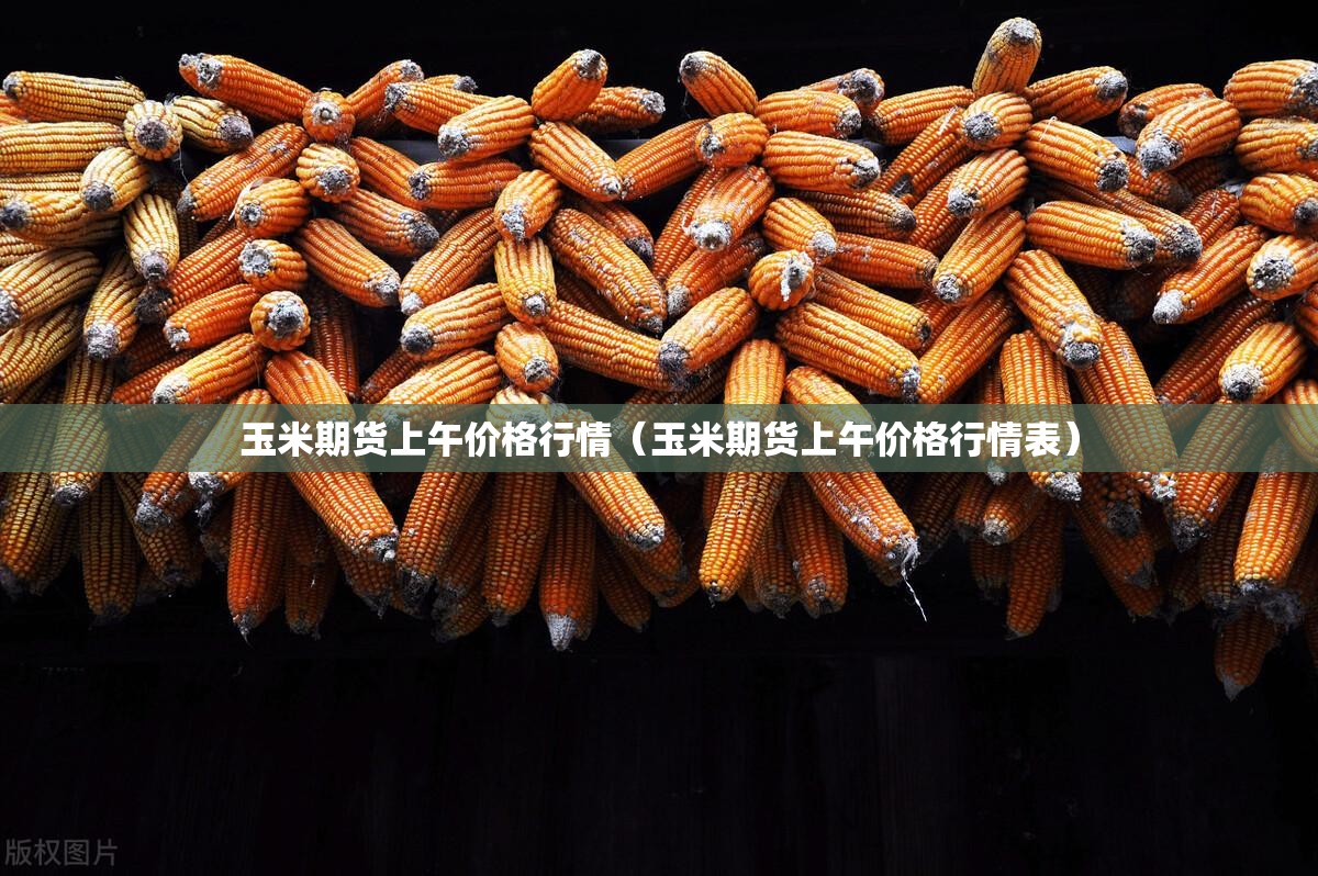 玉米期货上午价格行情(玉米期货上午价格行情表) 玉米期货上午价格行情(玉米期货上午价格行情表)