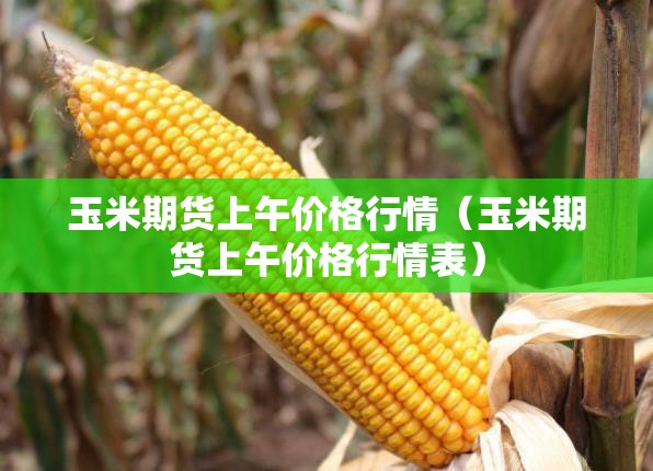 玉米期货上午价格行情(玉米期货上午价格行情表) 玉米期货上午价格行情(玉米期货上午价格行情表)