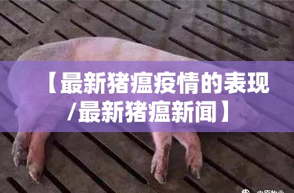 【最新猪瘟疫情的表现/最新猪瘟新闻】 【最新猪瘟疫情的表现/最新猪瘟新闻】