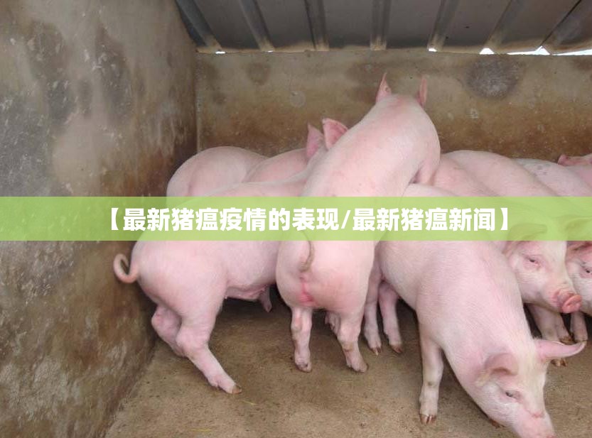 【最新猪瘟疫情的表现/最新猪瘟新闻】 【最新猪瘟疫情的表现/最新猪瘟新闻】