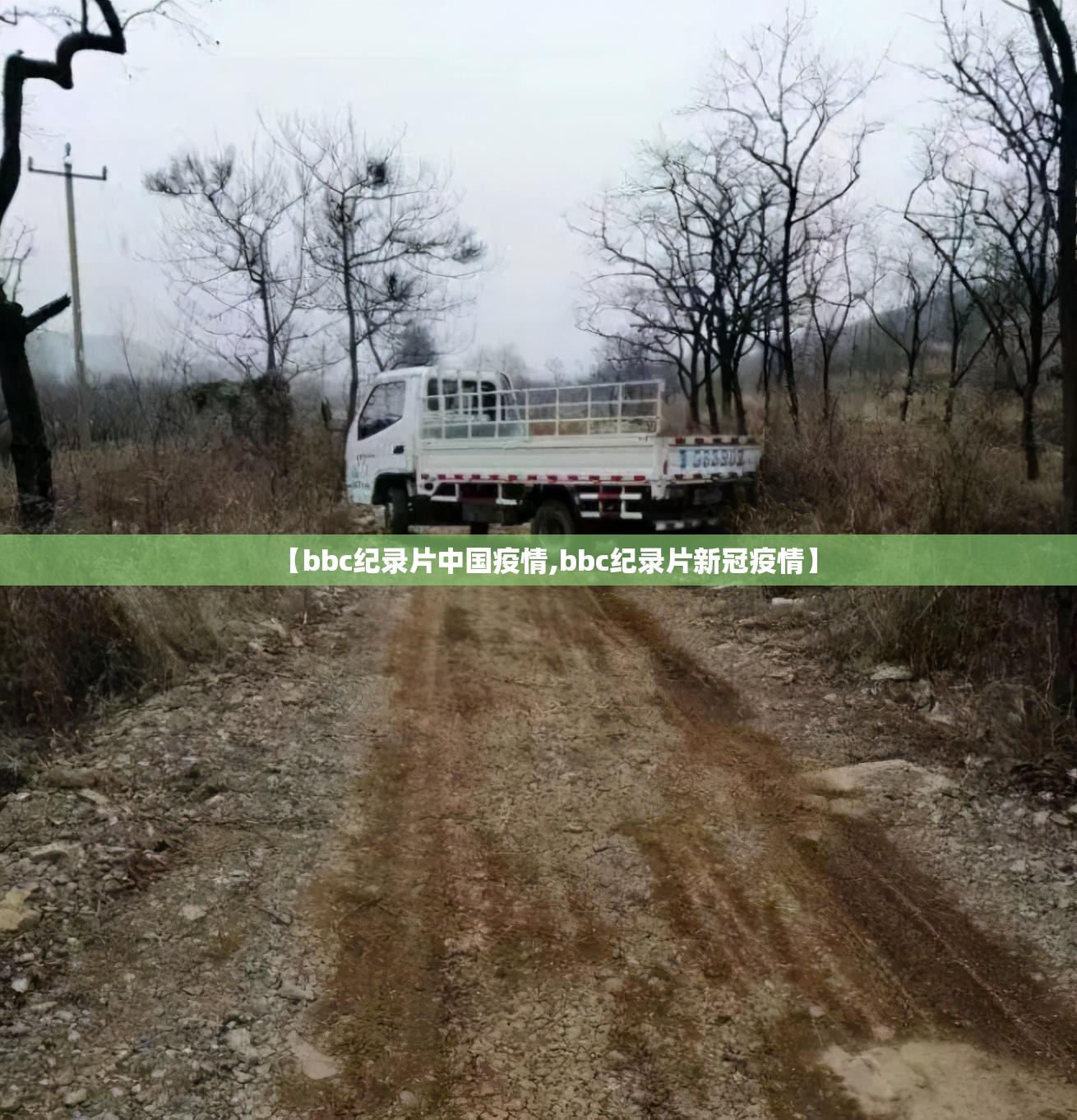 【bbc纪录片中国疫情,bbc纪录片新冠疫情】 【bbc纪录片中国疫情,bbc纪录片新冠疫情】