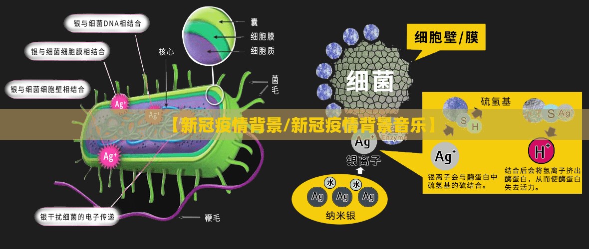 【新冠疫情背景/新冠疫情背景音乐】