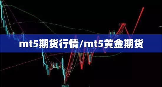 mt5期货行情/mt5黄金期货