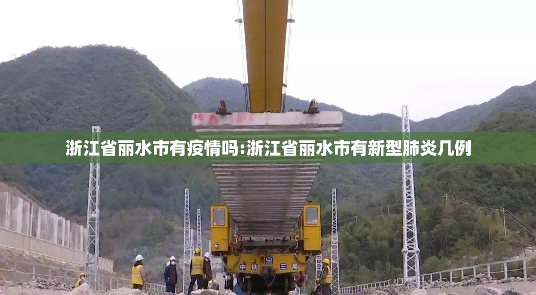 浙江省丽水市有疫情吗:浙江省丽水市有新型肺炎几例