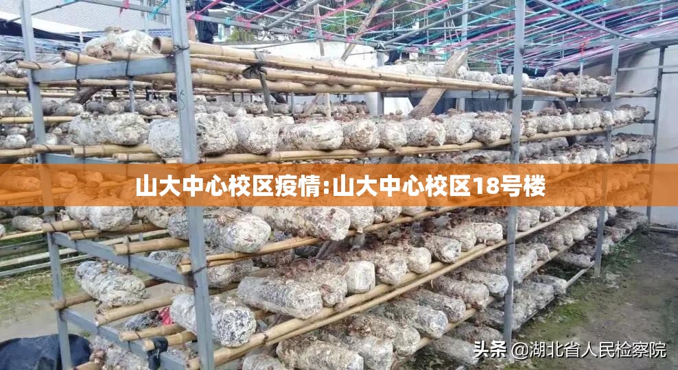山大中心校区疫情:山大中心校区18号楼
