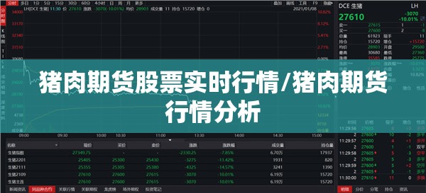 猪肉期货股票实时行情/猪肉期货行情分析