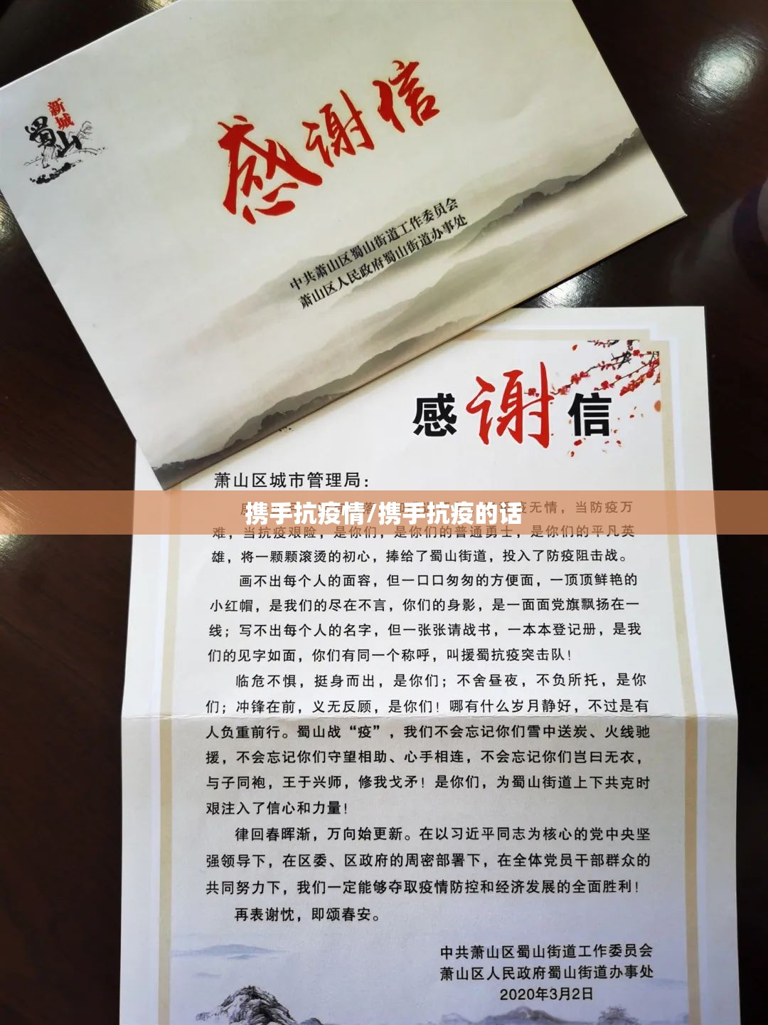 携手抗疫情/携手抗疫的话