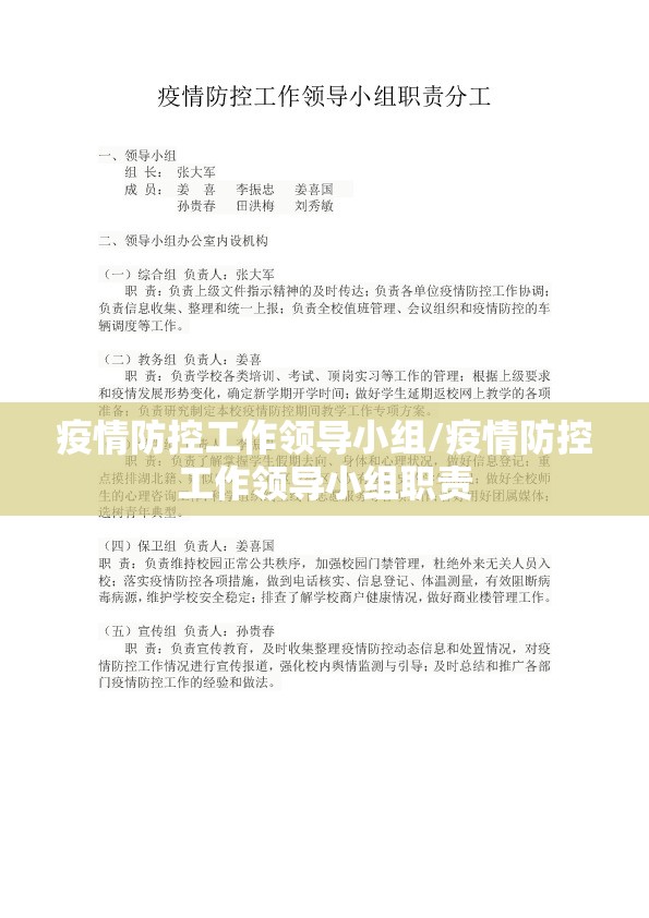 疫情防控工作领导小组/疫情防控工作领导小组职责