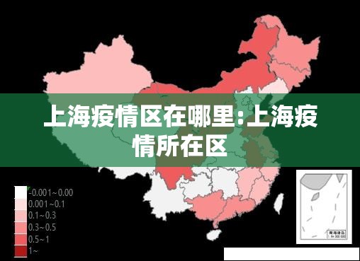 上海疫情区在哪里:上海疫情所在区