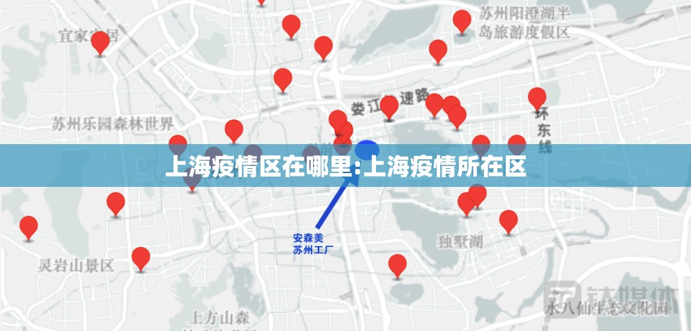 上海疫情区在哪里:上海疫情所在区