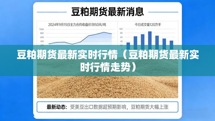 豆粕期货最新实时行情（豆粕期货最新实时行情走势）
