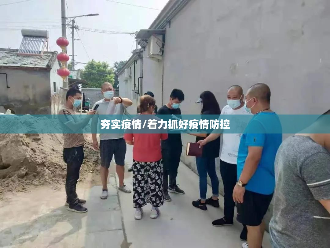夯实疫情/着力抓好疫情防控