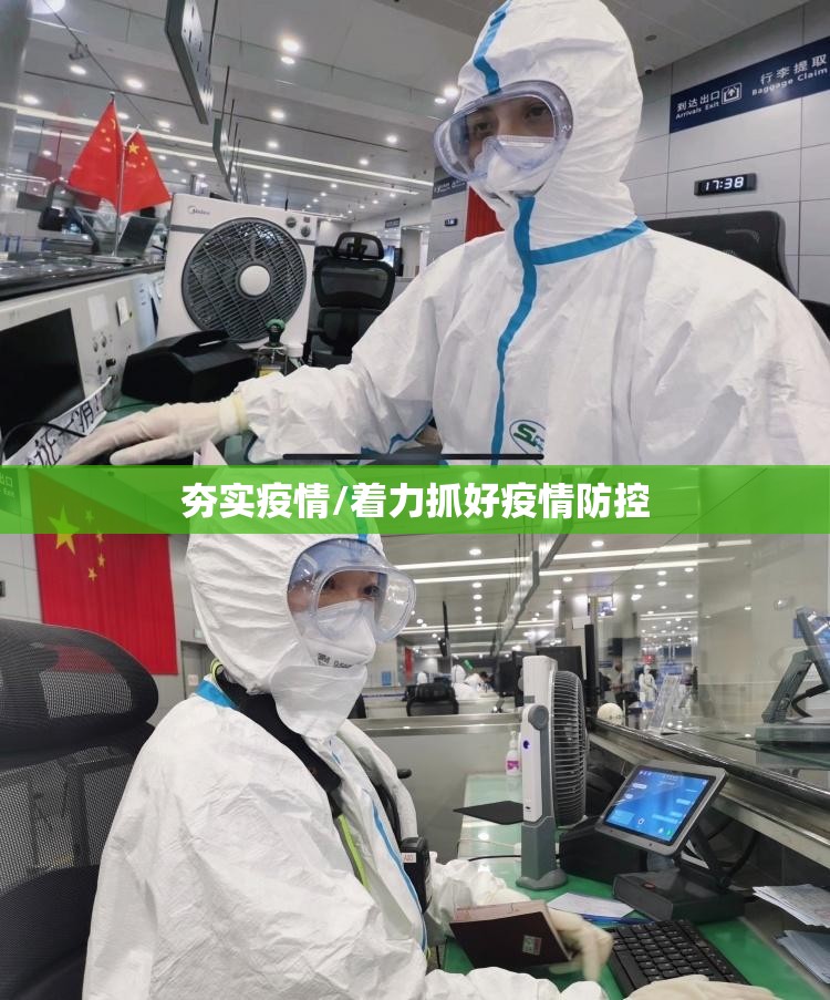 夯实疫情/着力抓好疫情防控