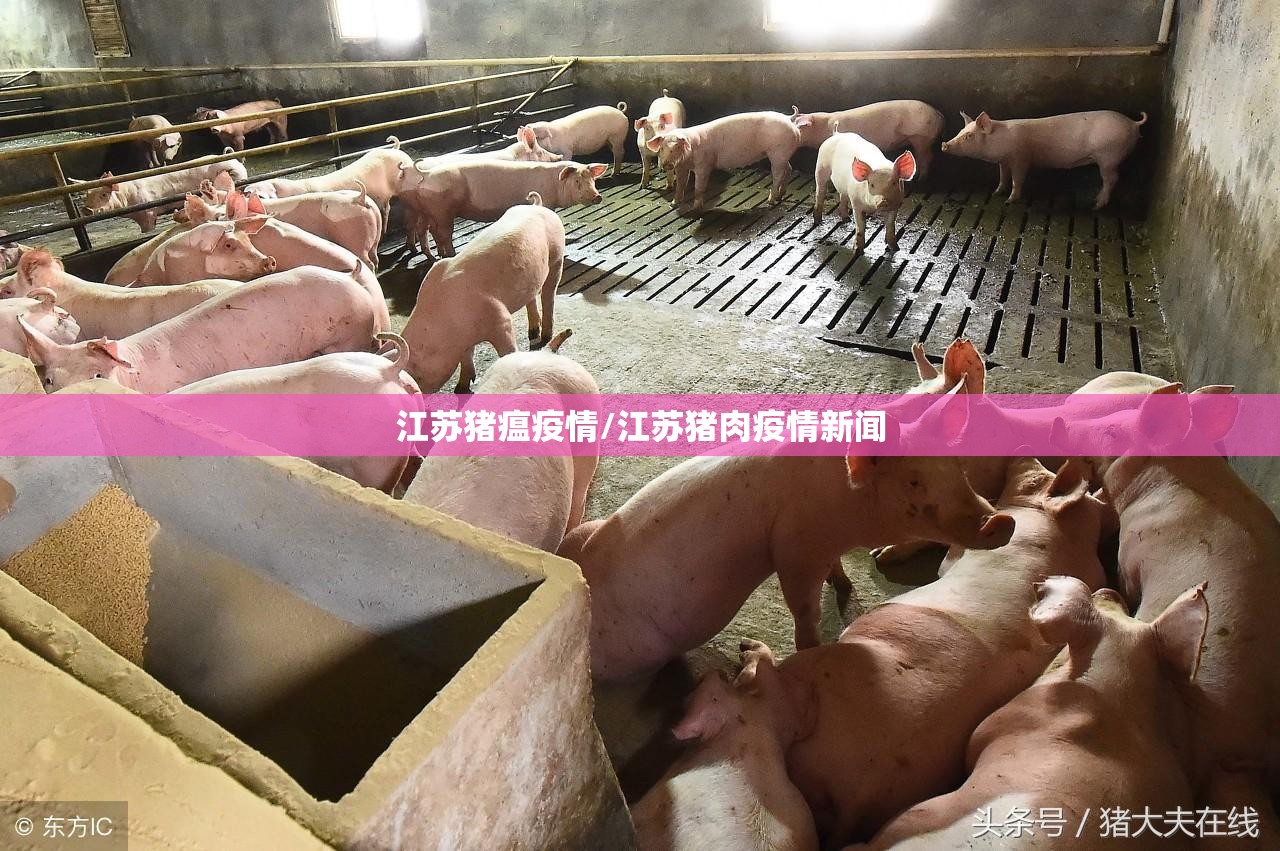 江苏猪瘟疫情/江苏猪肉疫情新闻 江苏猪瘟疫情/江苏猪肉疫情新闻