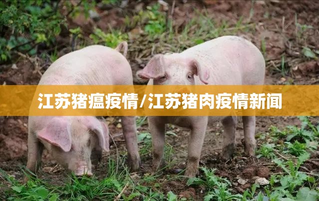 江苏猪瘟疫情/江苏猪肉疫情新闻 江苏猪瘟疫情/江苏猪肉疫情新闻
