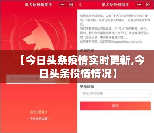 【今日头条疫情实时更新,今日头条役情情况】 【今日头条疫情实时更新,今日头条役情情况】