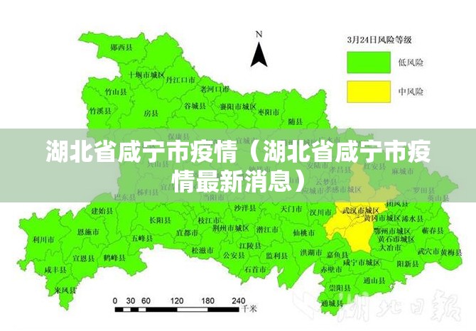湖北省咸宁市疫情（湖北省咸宁市疫情最新消息）