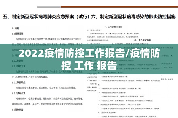 2022疫情防控工作报告/疫情防控 工作 报告 2022疫情防控工作报告/疫情防控 工作 报告