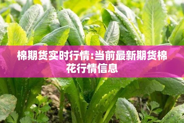 棉期货实时行情:当前最新期货棉花行情信息 棉期货实时行情:当前最新期货棉花行情信息