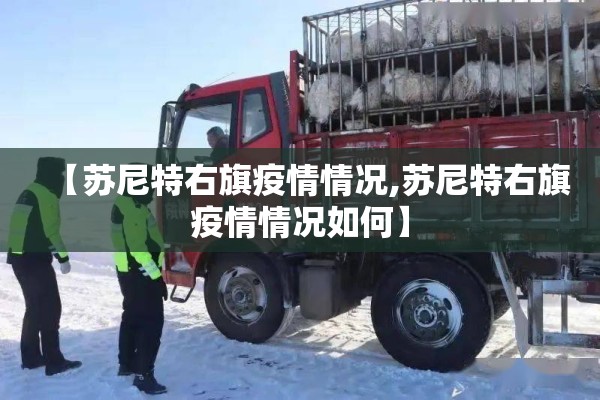 【苏尼特右旗疫情情况,苏尼特右旗疫情情况如何】