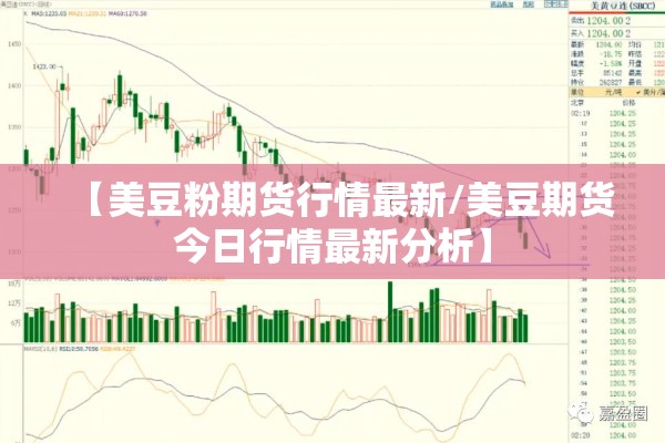 【美豆粉期货行情最新/美豆期货今日行情最新分析】