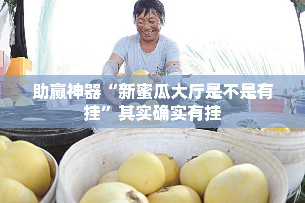 助赢神器“新蜜瓜大厅是不是有挂”其实确实有挂