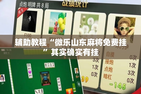 辅助教程“微乐山东麻将免费挂	”其实确实有挂