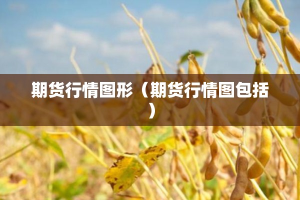 期货行情图形（期货行情图包括）