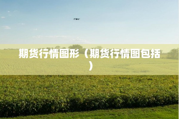 期货行情图形（期货行情图包括）