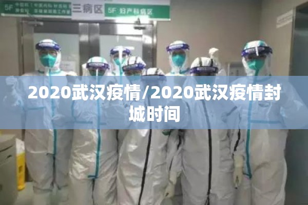 2020武汉疫情/2020武汉疫情封城时间