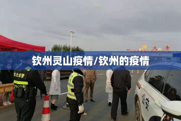 钦州灵山疫情/钦州的疫情