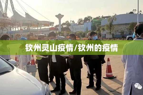 钦州灵山疫情/钦州的疫情