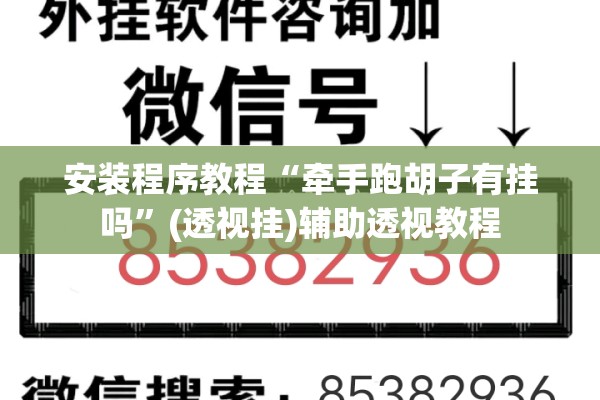 安装程序教程“牵手跑胡子有挂吗	”(透视挂)辅助透视教程