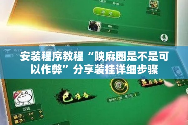 安装程序教程“陕麻圈是不是可以作弊”分享装挂详细步骤