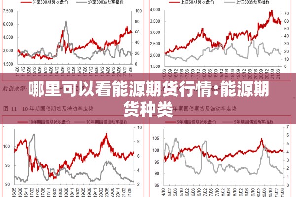 哪里可以看能源期货行情:能源期货种类