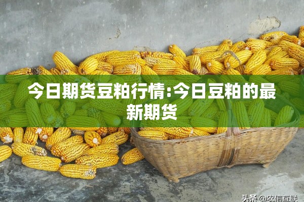 今日期货豆粕行情:今日豆粕的最新期货