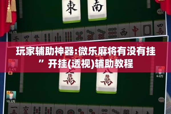 玩家辅助神器:微乐麻将有没有挂	”开挂(透视)辅助教程